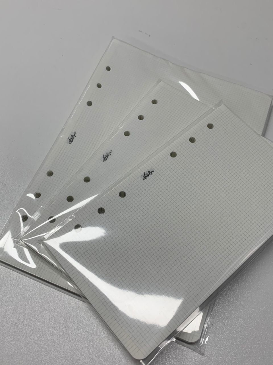 📄 Loose-leaf 2mm Grid Inserts for Three Ring Binders/Agendas