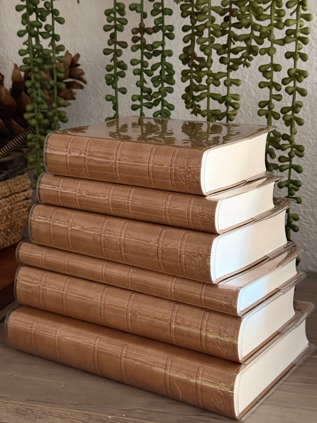 Clear Journal covers